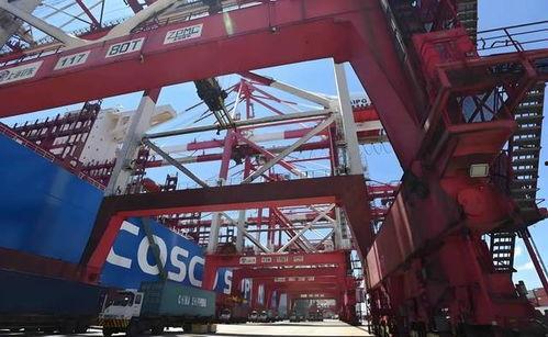 国产精区  第2张